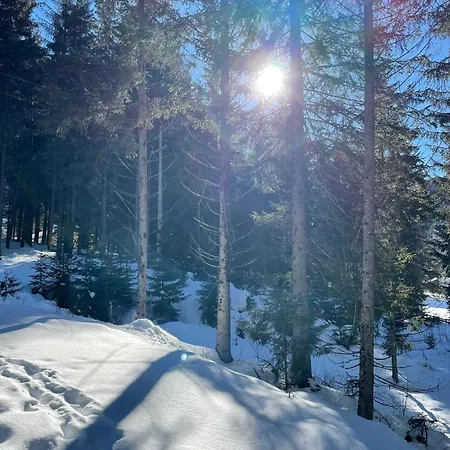 Daire Koenigspudel Nauders